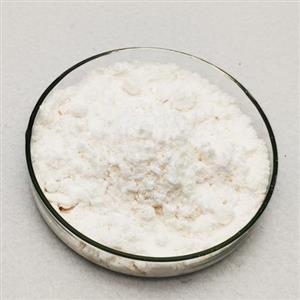 > </div>
<div class=